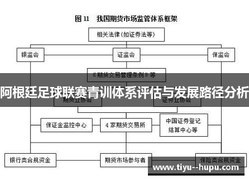 阿根廷足球联赛青训体系评估与发展路径分析