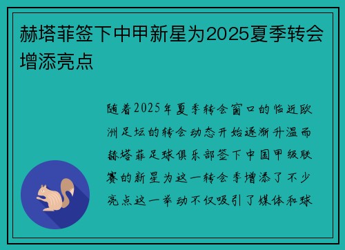 赫塔菲签下中甲新星为2025夏季转会增添亮点
